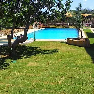 https://il-bb-di-villa-rosa-dei-venti.sicilyhotelsitaly.net